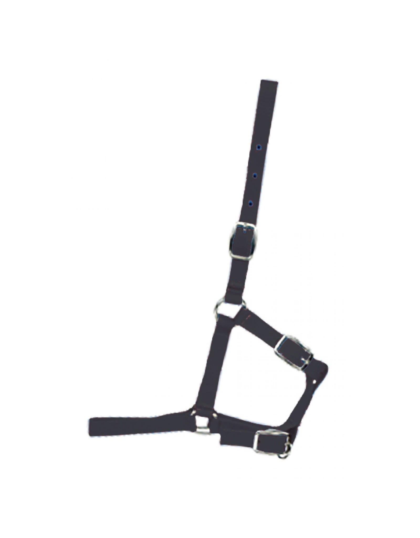 Foal Halter - Brown - 292980-41