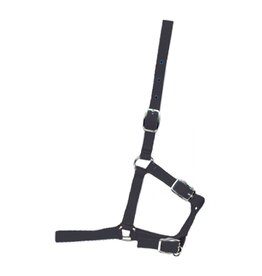 Foal Halter - Brown - 292980-41