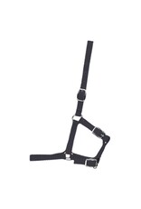 Foal Halter - Brown - 292980-41