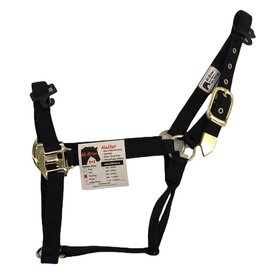 Hi-Brow Halter - Flat Nylon Foal Halter Navy  - TBH505F NV