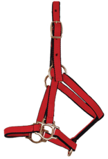Burwash Ultimate Halter  - Weanling - Teal -  TBWHUHSY-TE