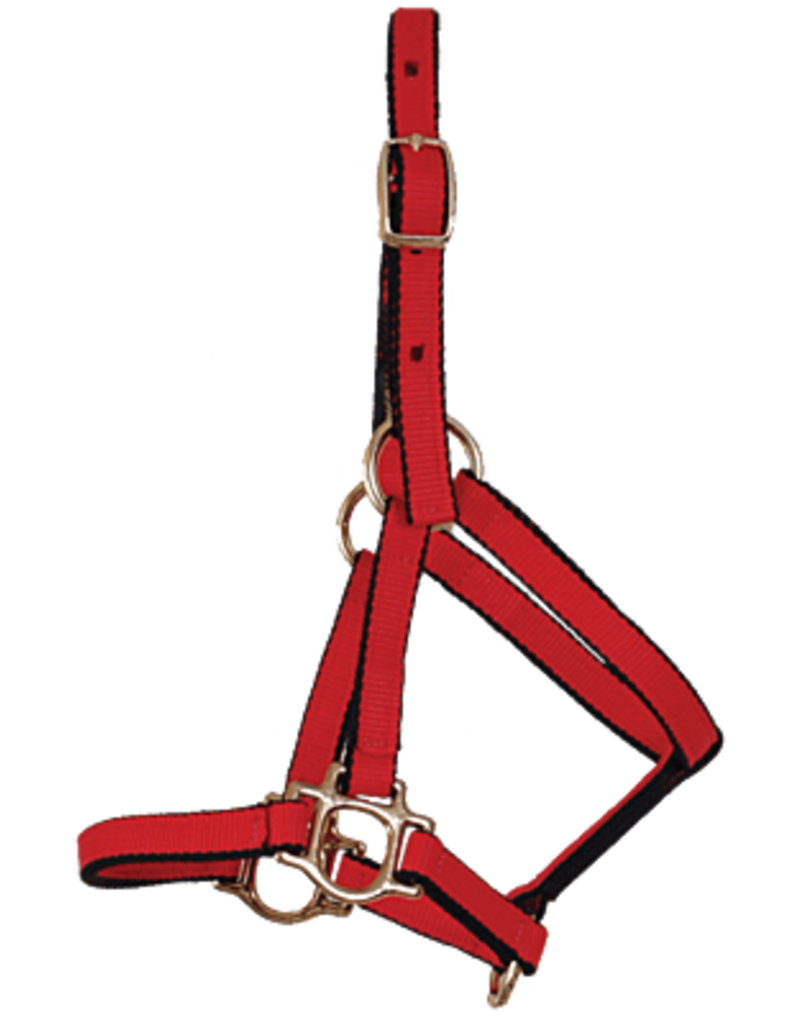 Burwash Ultimate Halter - Weanling - Navy - TBWHUHSY-NV