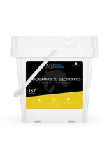 Mad Barn Canada Mad Barn Performance XL Electrolytes 20kg -628055180289 Special Order