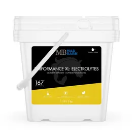 Mad Barn Canada Mad Barn Performance XL Electrolytes 20kg -628055180289 Special Order