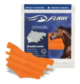 Flair Nasal Strip - Orange - 6 Pack - WE003-OR6