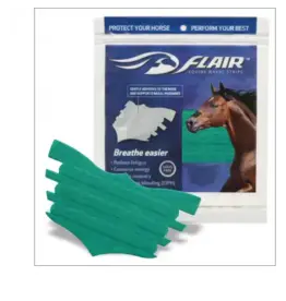 Flair  Nasal Strip - Turquoise - 6 Pack -119301-19