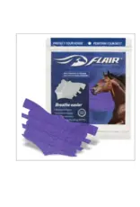 Flair Nasal Strip - Purple - 6 Pack - WE003-PUR6