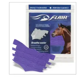 Flair Nasal Strip - Purple - 6 Pack - WE003-PUR6
