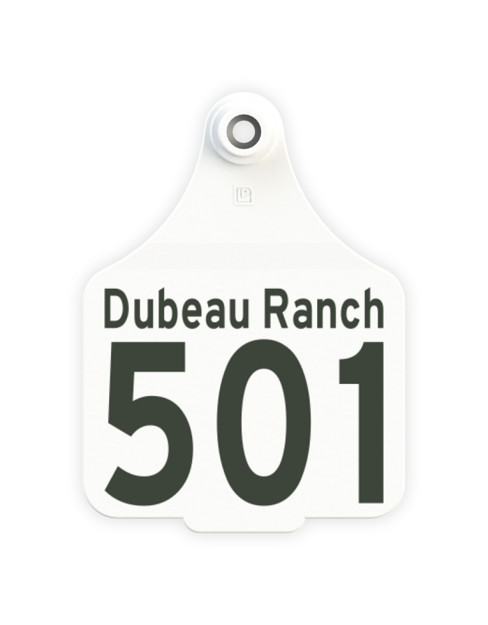 CAO-339411 - Dubeau Ranch -  Dubeau Ranch over 501-530