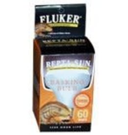 Basking Spotlight Inc. 60 wt S490-22601