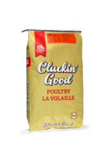 Cluckin' Good- Layer 20kg- TBLLayer - CP 19%