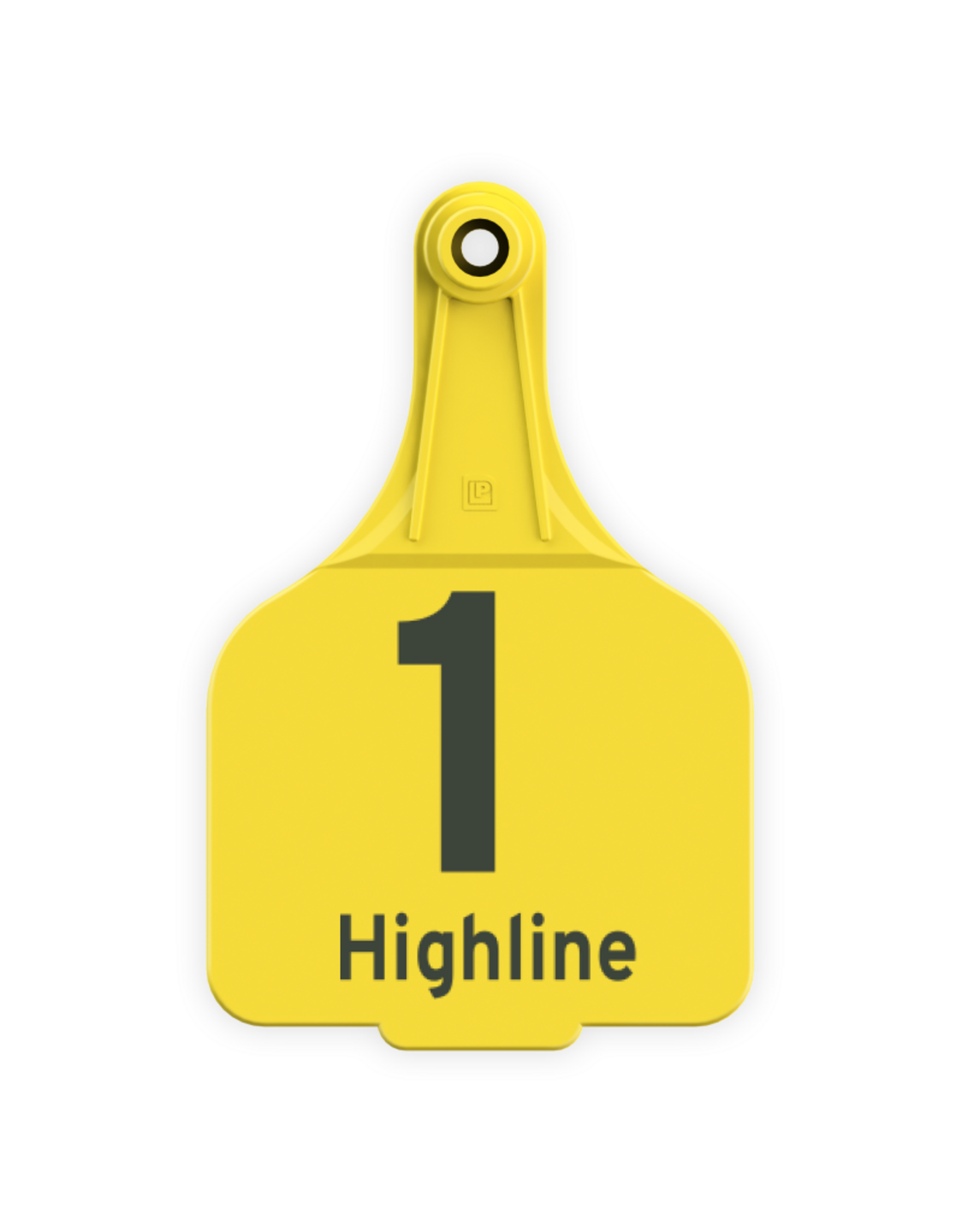 CAO-343811 Highline Angus (Tyler Pasiciel) Yellow Super Maxi 2PSM7  1-65 Highline on bottom