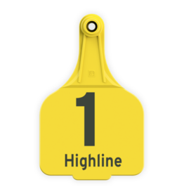 CAO-343811 Highline Angus (Tyler Pasiciel) Yellow Super Maxi 2PSM7  1-65 Highline on bottom