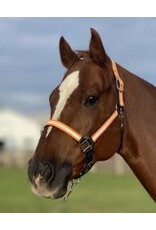 Nylon Reflective Halter with Padding - Full - 10-705 - Full