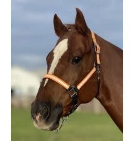 Nylon Reflective Halter with Padding - Full - 10-705 - Full