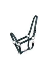 Country Legend Economy Flat Nylon Halter - Turq - Horse - 292910-19