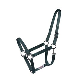 Country Legend Economy Flat Nylon Halter - Turq - Horse - 292910-19