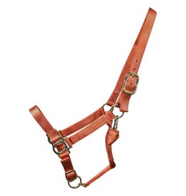 Premium Nylon Adjustable Halter - Full - Orange 9907-F-OR