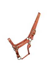 Premium Nylon Adjustable Halter - Full - Orange 9907-F-OR