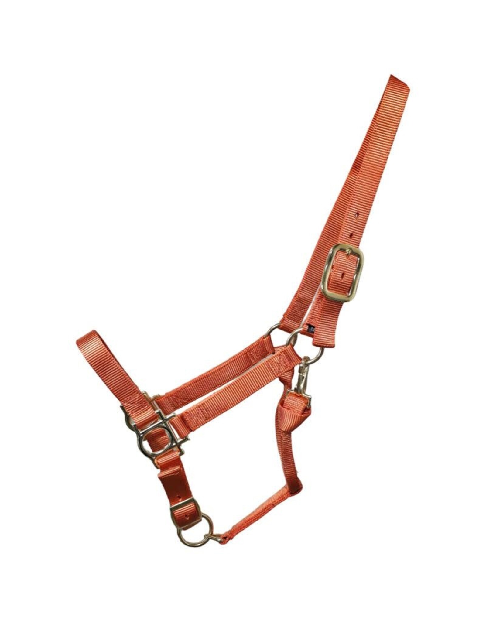 Premium Nylon Adjustable Halter - Full - Orange 9907-F-OR