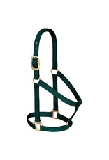 Basic Non-Adjustable 1" Halter - 35-7405-HG- Average Hunter Green
