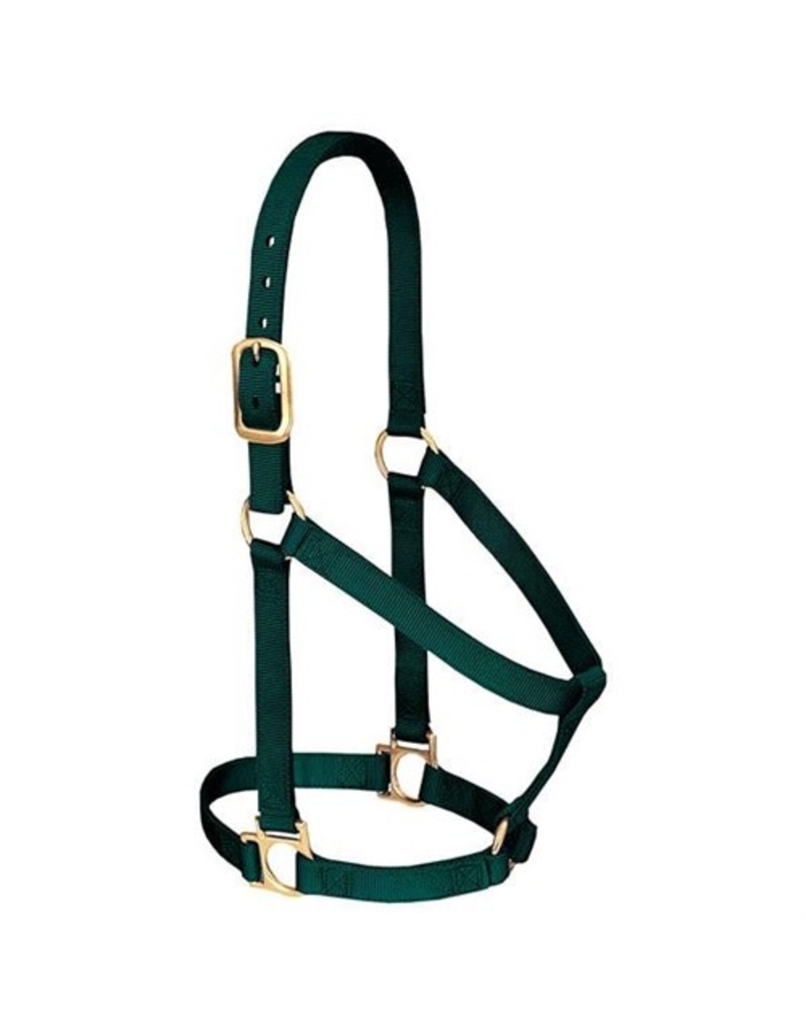 Basic Non-Adjustable 1" Halter - 35-7405-HG- Average Hunter Green