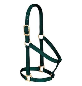 Basic Non-Adjustable 1" Halter - 35-7405-HG- Average Hunter Green