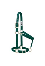 Basic Adjustable 1" Halter - 35-7435-HG - Average Hunter Green