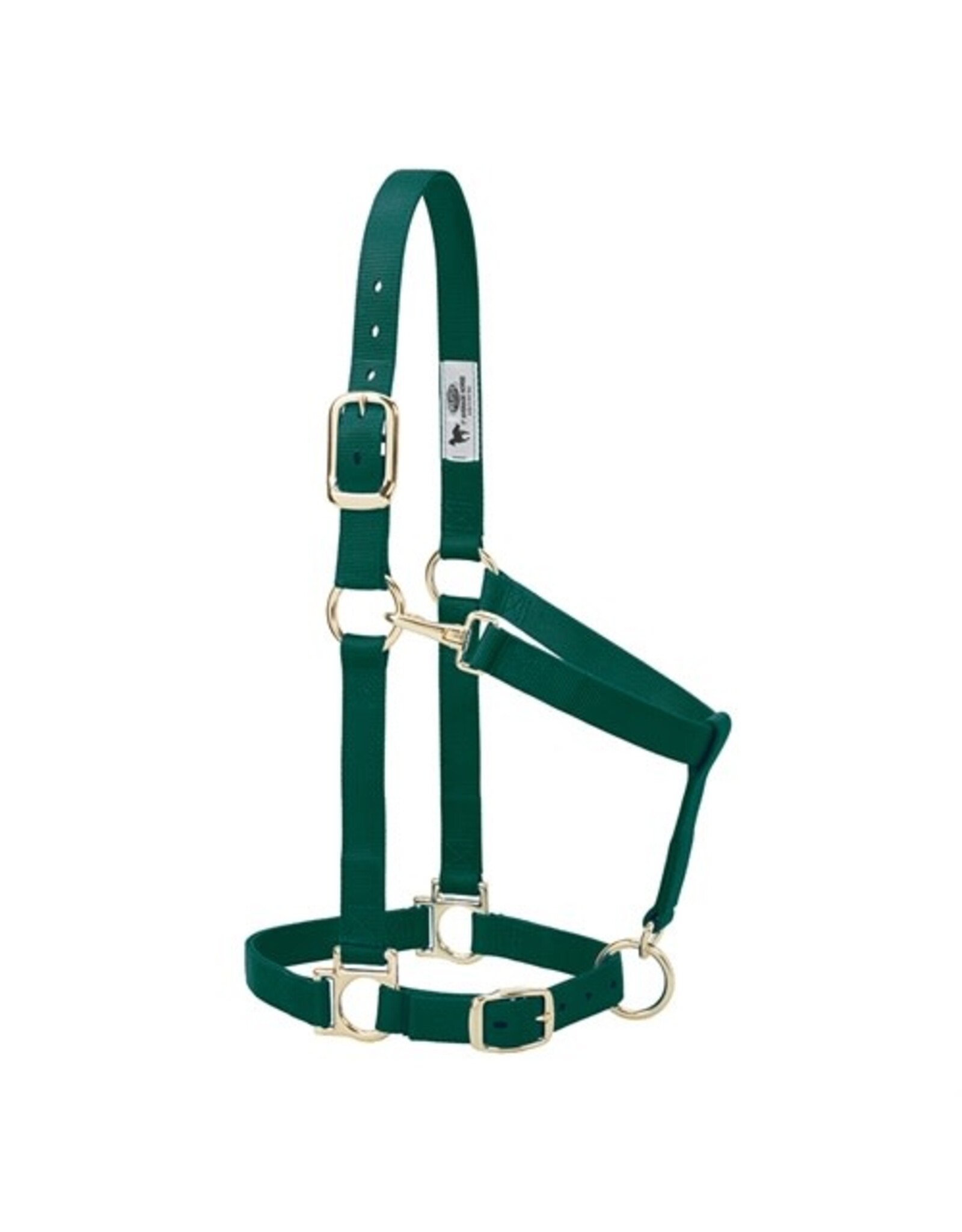 Basic Adjustable 1" Halter - 35-7435-HG - Average Hunter Green