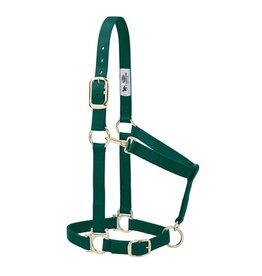 Basic Adjustable 1" Halter - 35-7435-HG - Average Hunter Green