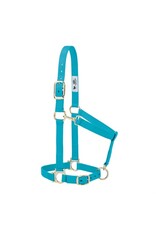 Basic Adjustable 1" Halter - 35-7435-TU - Average Turquoise