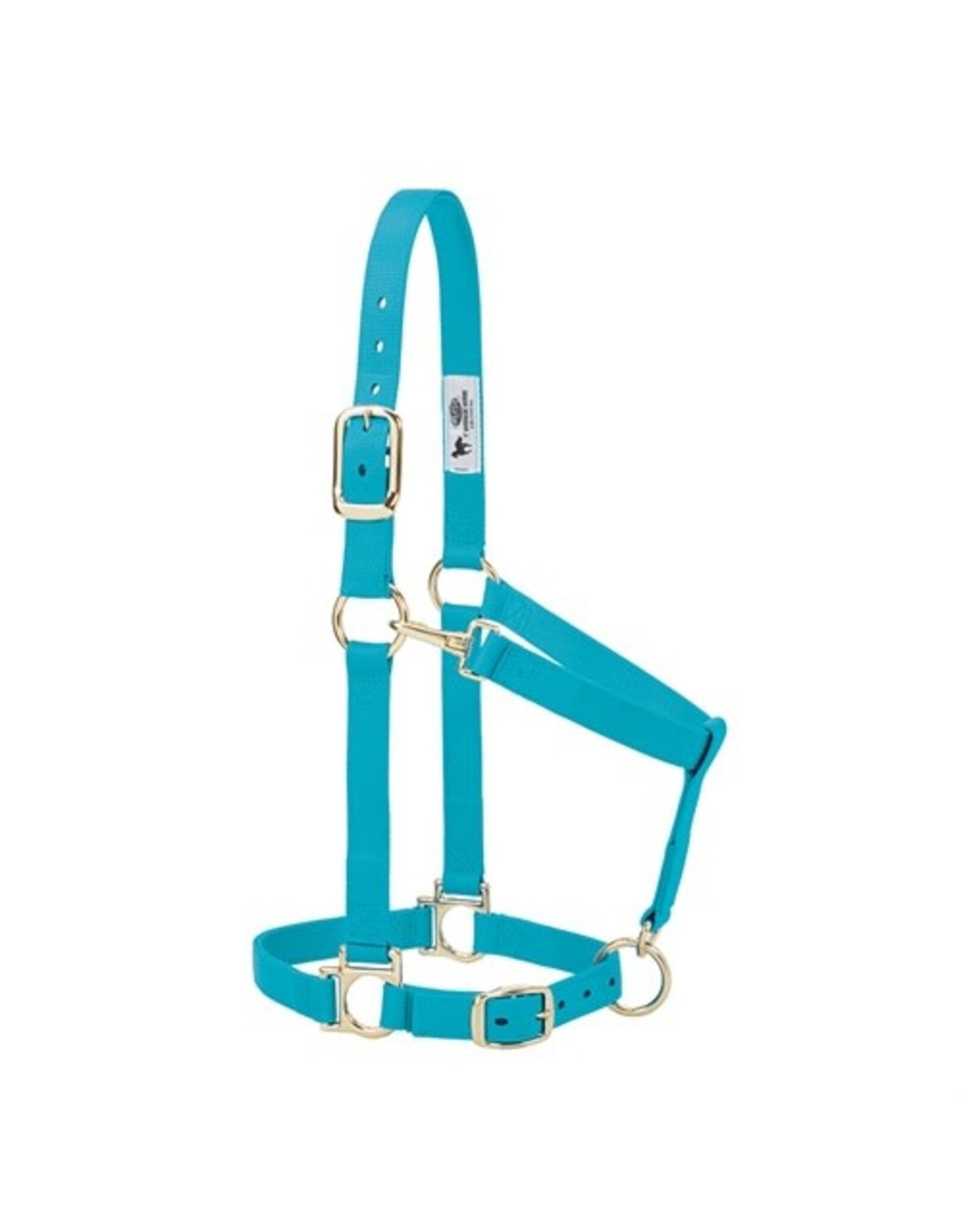 Basic Adjustable 1" Halter - 35-7435-TU - Average Turquoise
