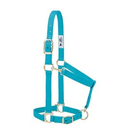 Basic Adjustable 1" Halter - 35-7435-TU - Average Turquoise