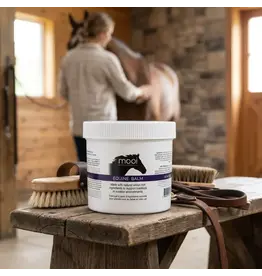 Mooi Equine Bug Balm 14oz