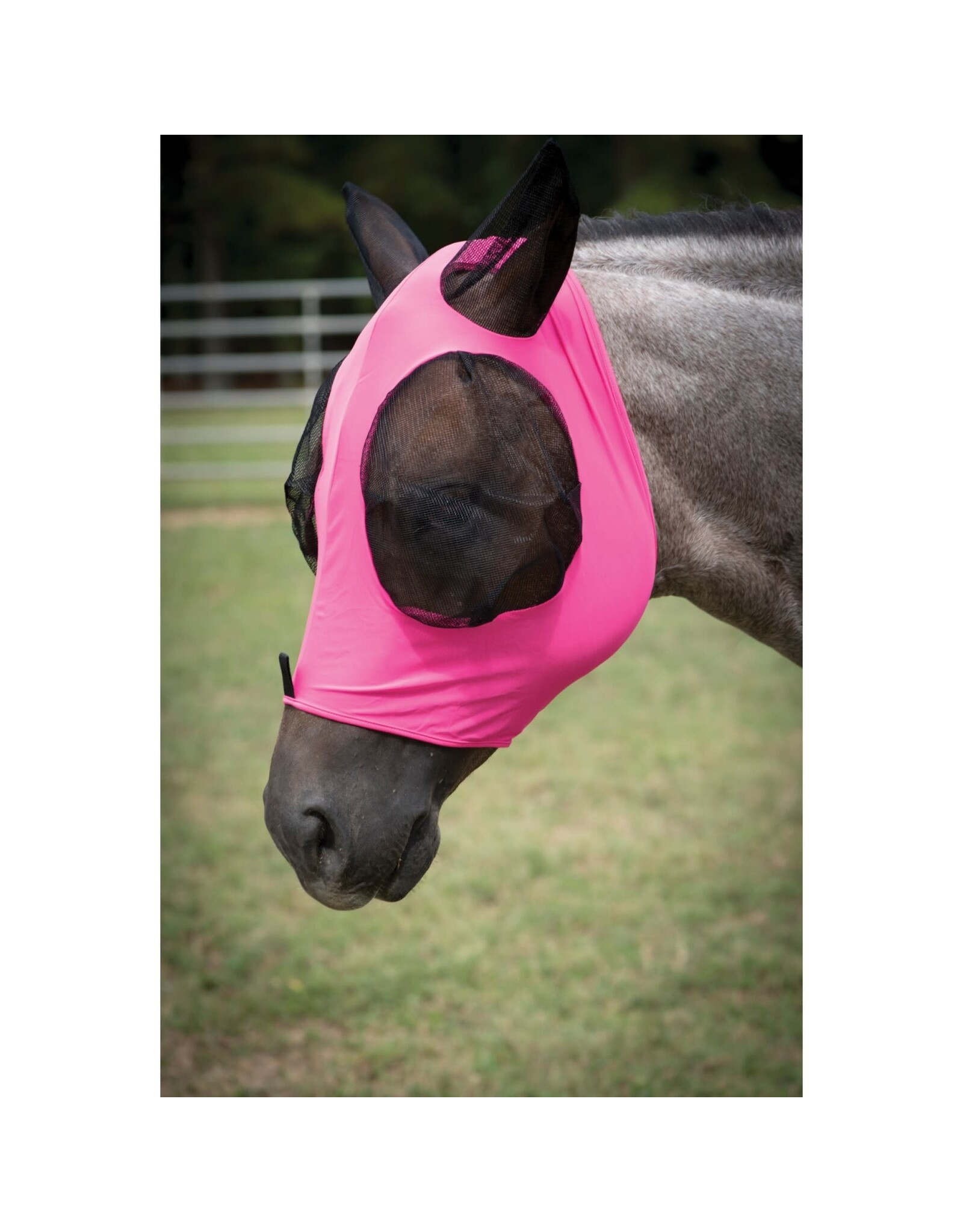 EQUI-SKY LYCRA FLY MASK WITH EARS - Fuschia - 317770-37/M - Medium