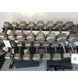 Misc Steel Hex Dumbbells