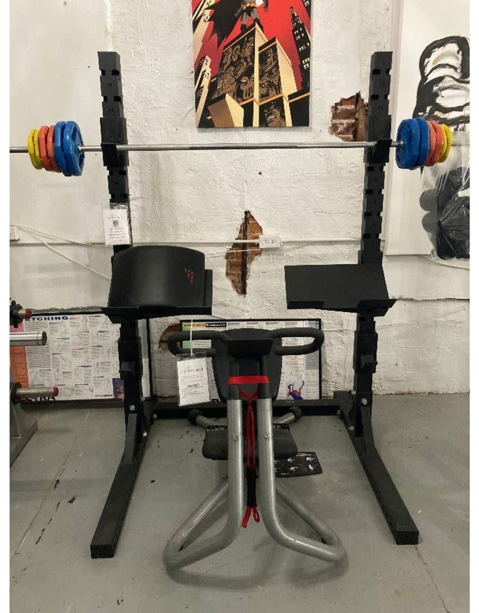 VANCE FITNESS AND INNOVATIONS DUMBELL SQUAT RACK