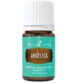 Young Living Angelica Oil