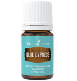 Young Living Blue Cypress Oil