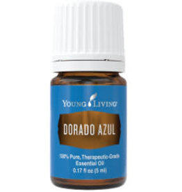 Young Living Dorado Azul Oil