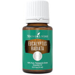 Young Living Eucalyptus Radiata Oil