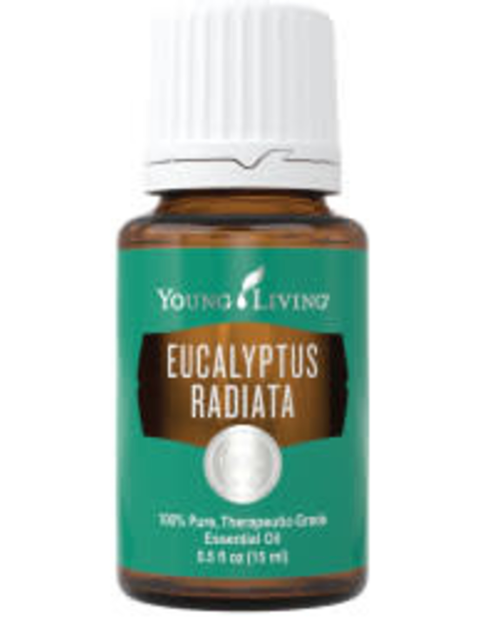 Young Living Eucalyptus Radiata Oil