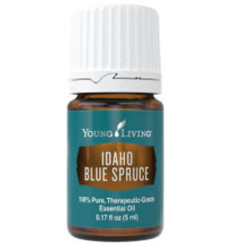 Young Living Idaho Blue Spruce Oil