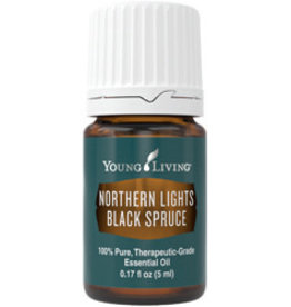 Young Living Northern Lights Black Spruce Oil