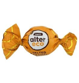 Alter Eco Alter Eco Truffle Salted Caramel single