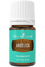 Young Living Angelica Oil