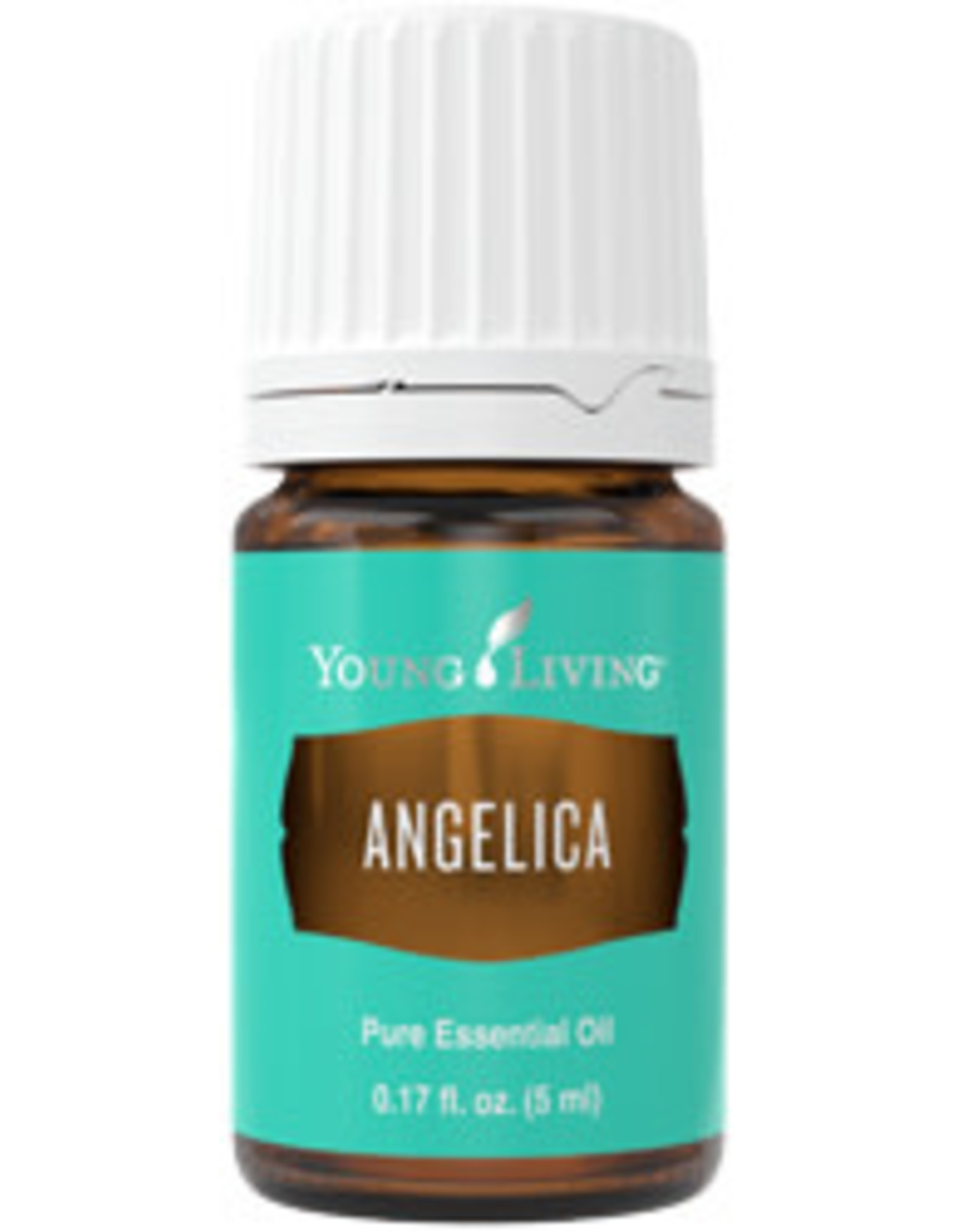 Young Living Angelica Oil