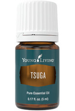 Young Living Tsuga Oil