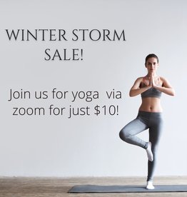 Yoga Winter Storm 2-1-2022