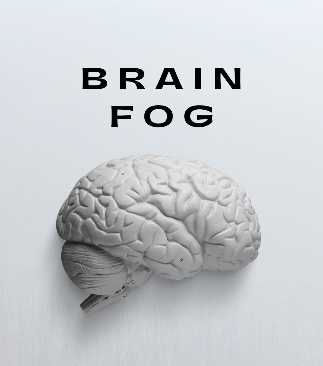 What is "Brain Fog" and What Causes It?